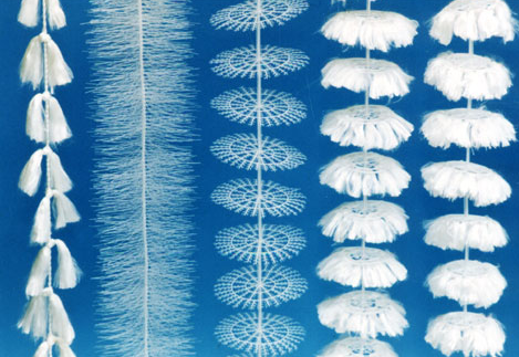 ܛ��<a href='http://www.noblock.cn/jstl/' target='_blank'><u>�������a(ch��n)�S��</u></a>