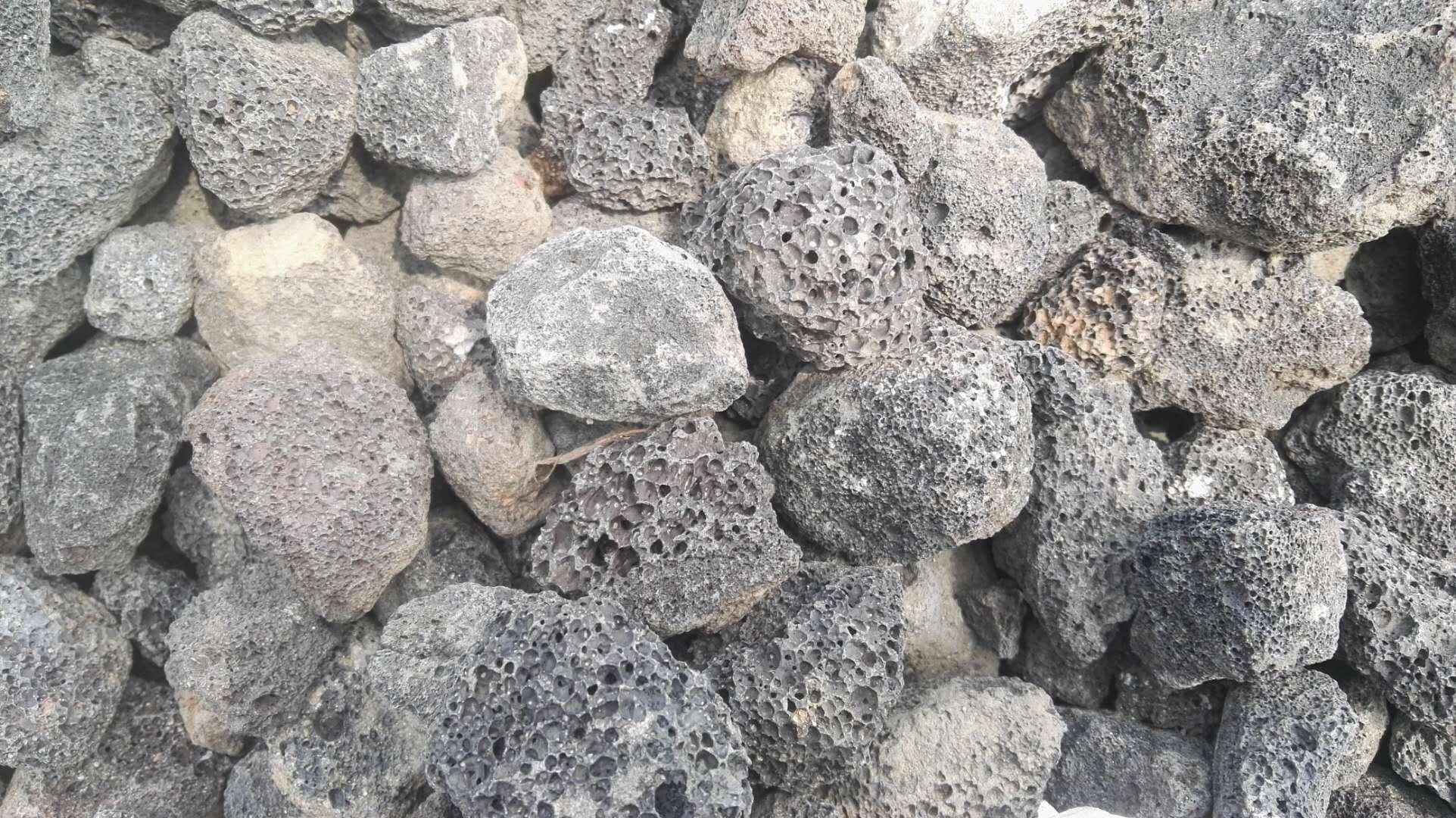 퓎r�����V�����a(ch��n)�S��