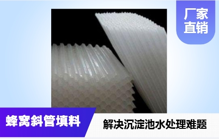 天津市循環(huán)水系統(tǒng)蜂窩<a href='http://www.noblock.cn/jstl/60.html' target='_blank'><u>斜管填料生產(chǎn)廠家</u></a>